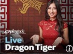 Dragon Tiger